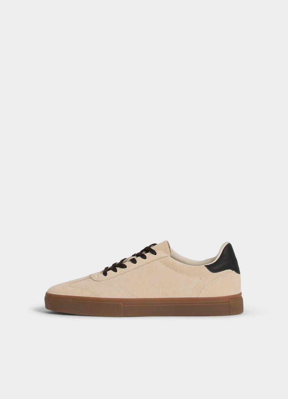 Cody Sneakers