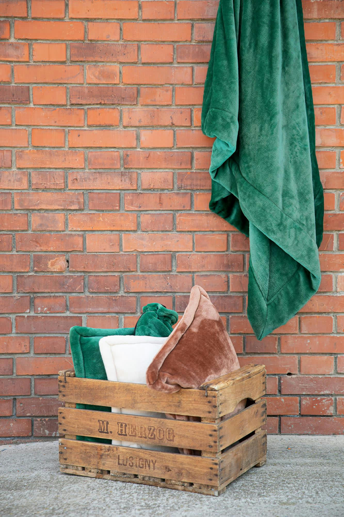 TENDER - Plaid  en polyester epicea 150 x 200