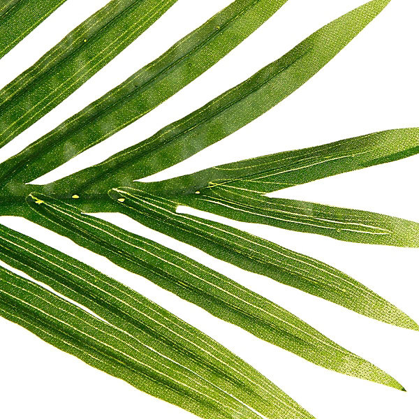 Palmier artificiel H170 cm - Atmosphera