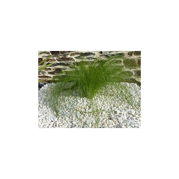 Galet Blanc Brillant 6-15 Pack de 10 M² - 20 sacs - 400 kg
