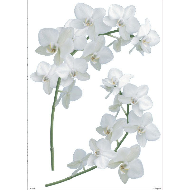 Planche de stickers A4 Orchidées 2 pièces