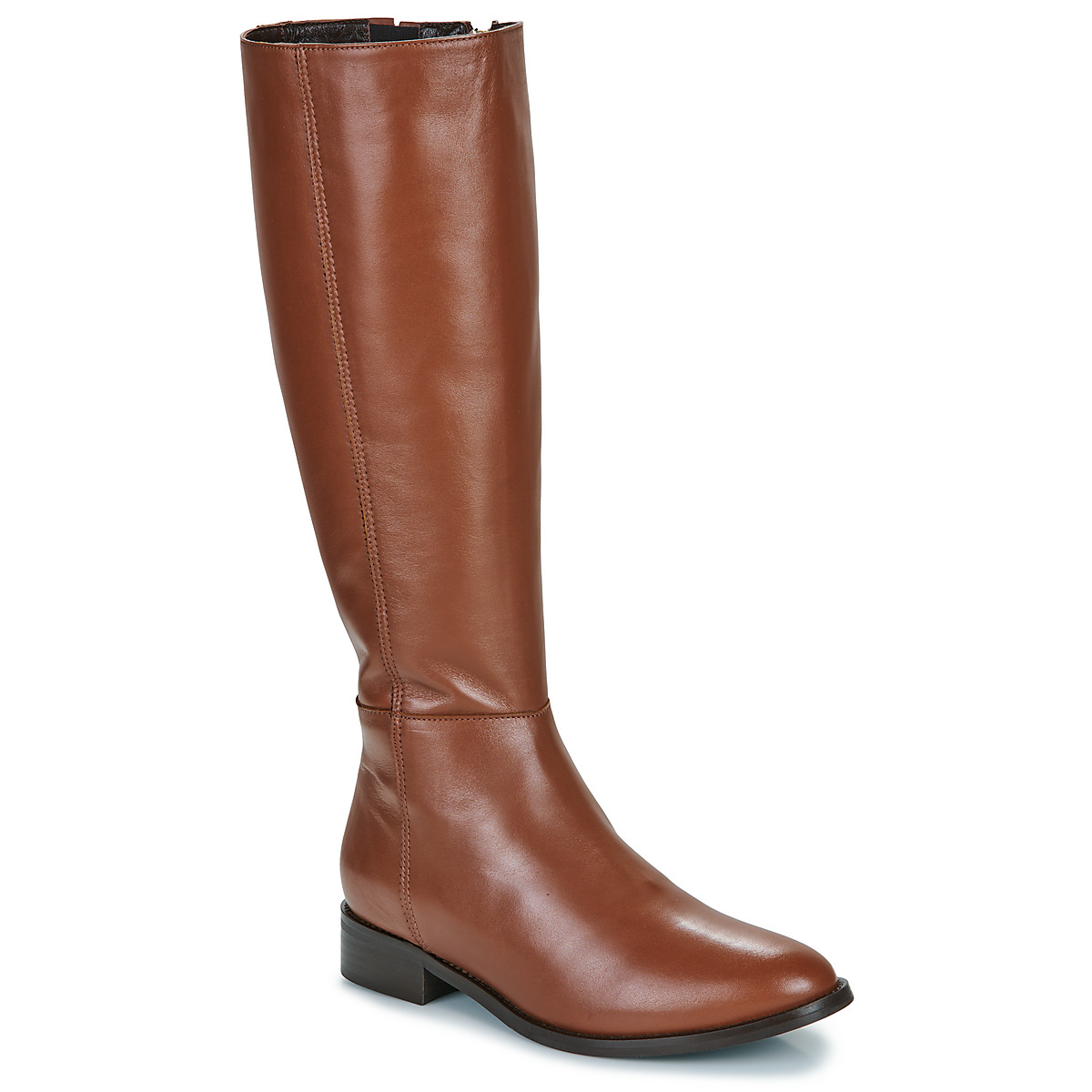 Fericelli - LUCILA - Camel