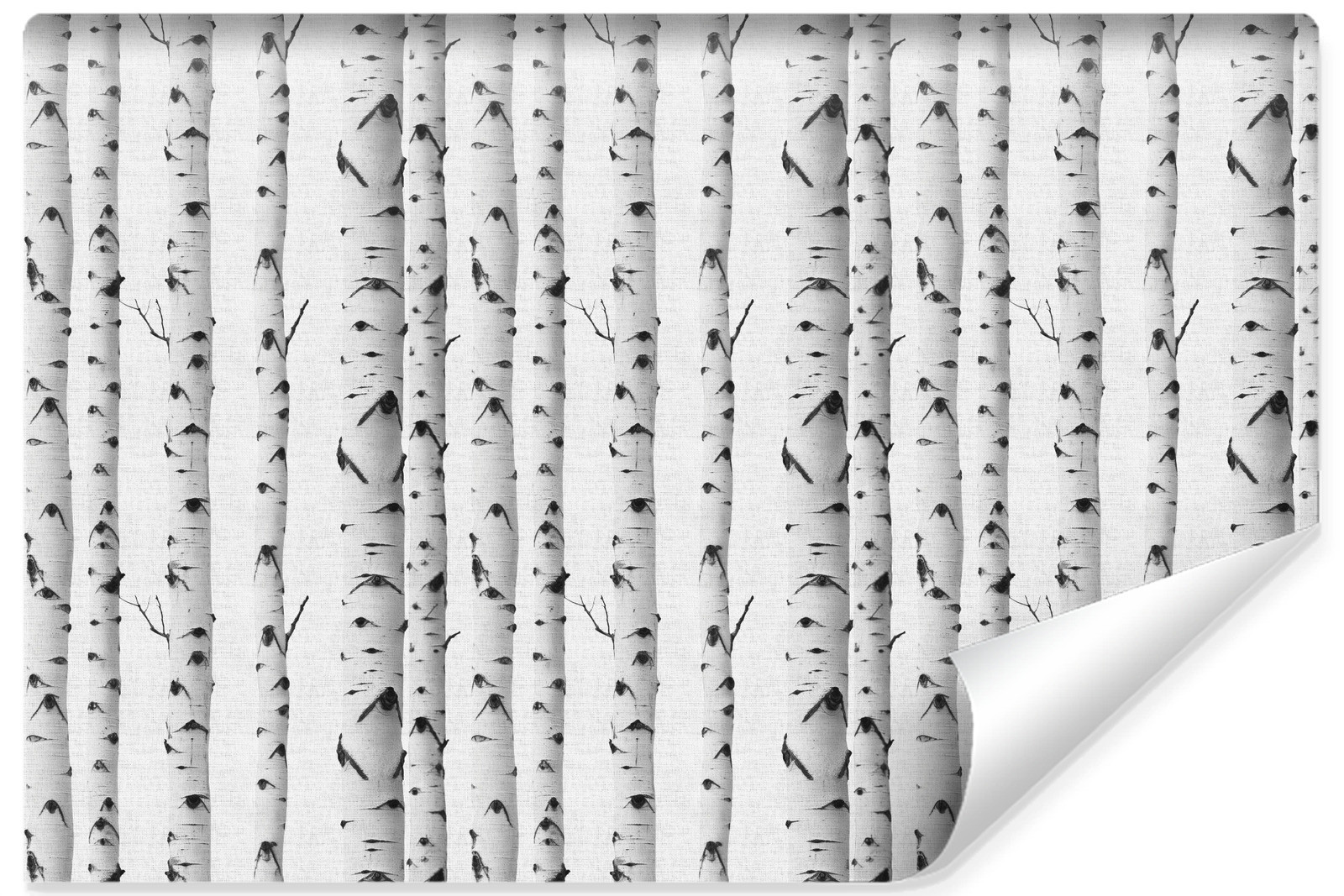 Fototapeta Ścienna Abstrakcyjny Brzozowy Las 135x90cm