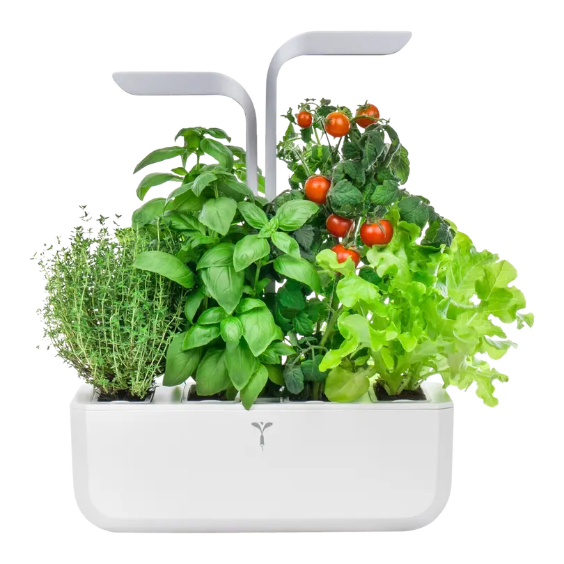 Kräutertopf Smart