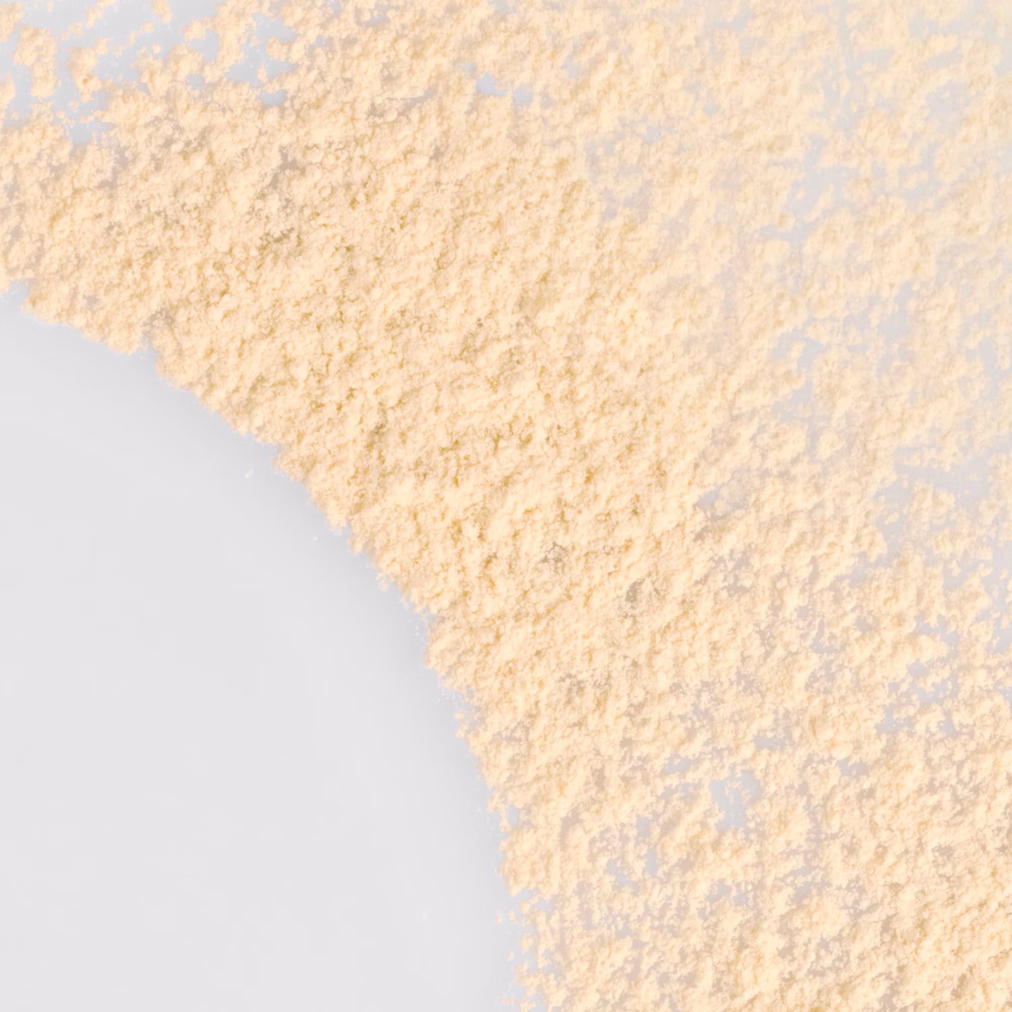 SET & CARE POWDERPoudre libre fixatrice matifiante : lisse, floute et matifie