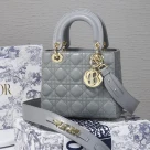 Dior The LADY D-LITE Bag
