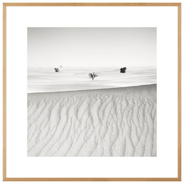 QUADRO SIGNS OF LIFE IV 60 CM X 60 CM