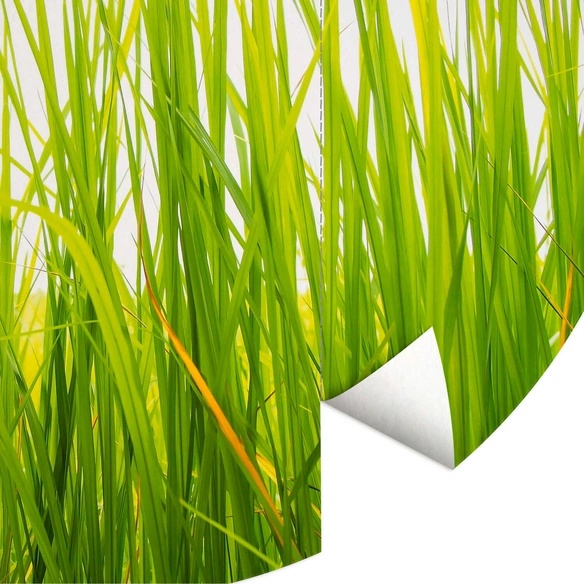 Vliestapete »Runde Vliestapete«, Hohes Gras grüne Wiese Küche, mehrfarbig, matt