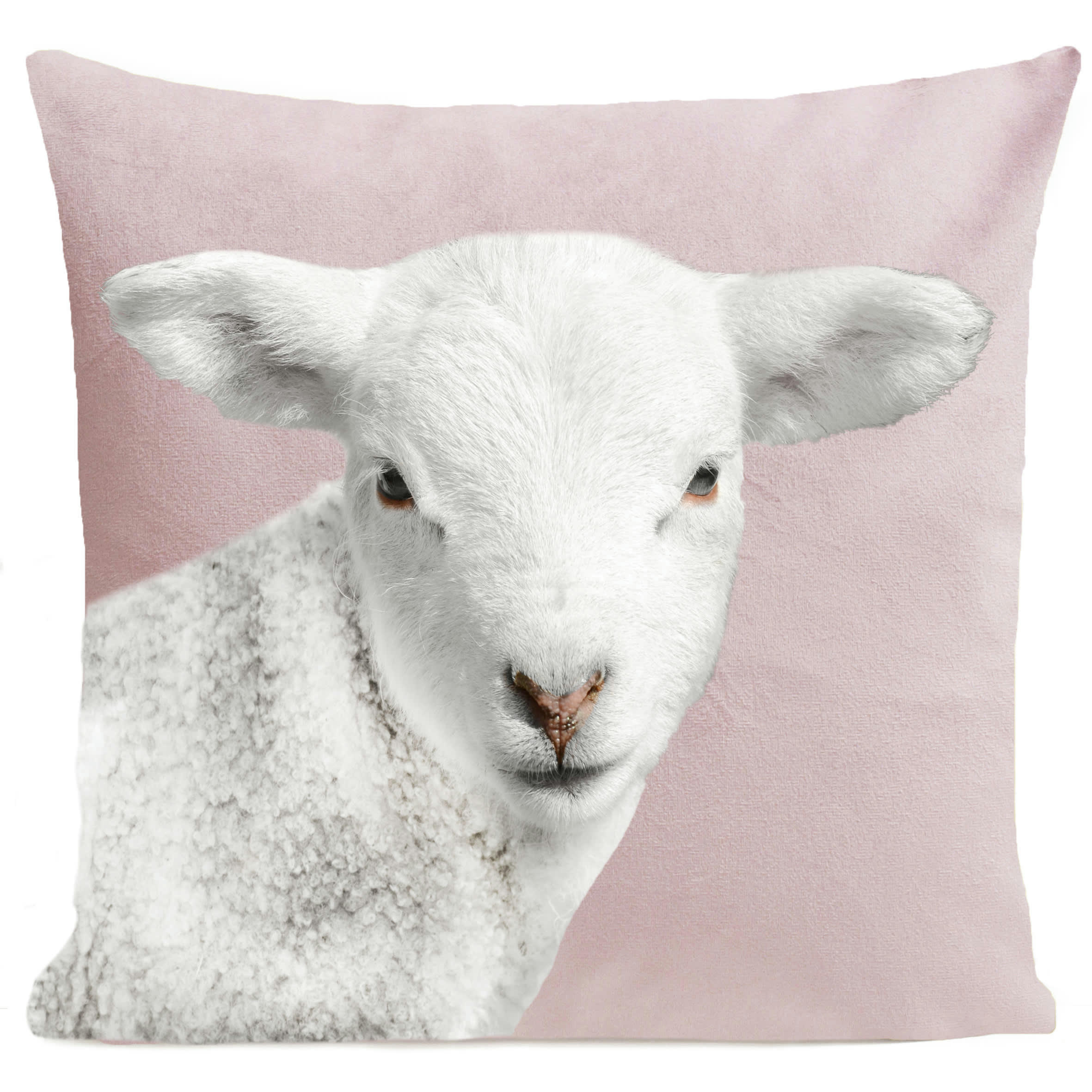 - Coussin animal mouton suédine rose 40x40cm