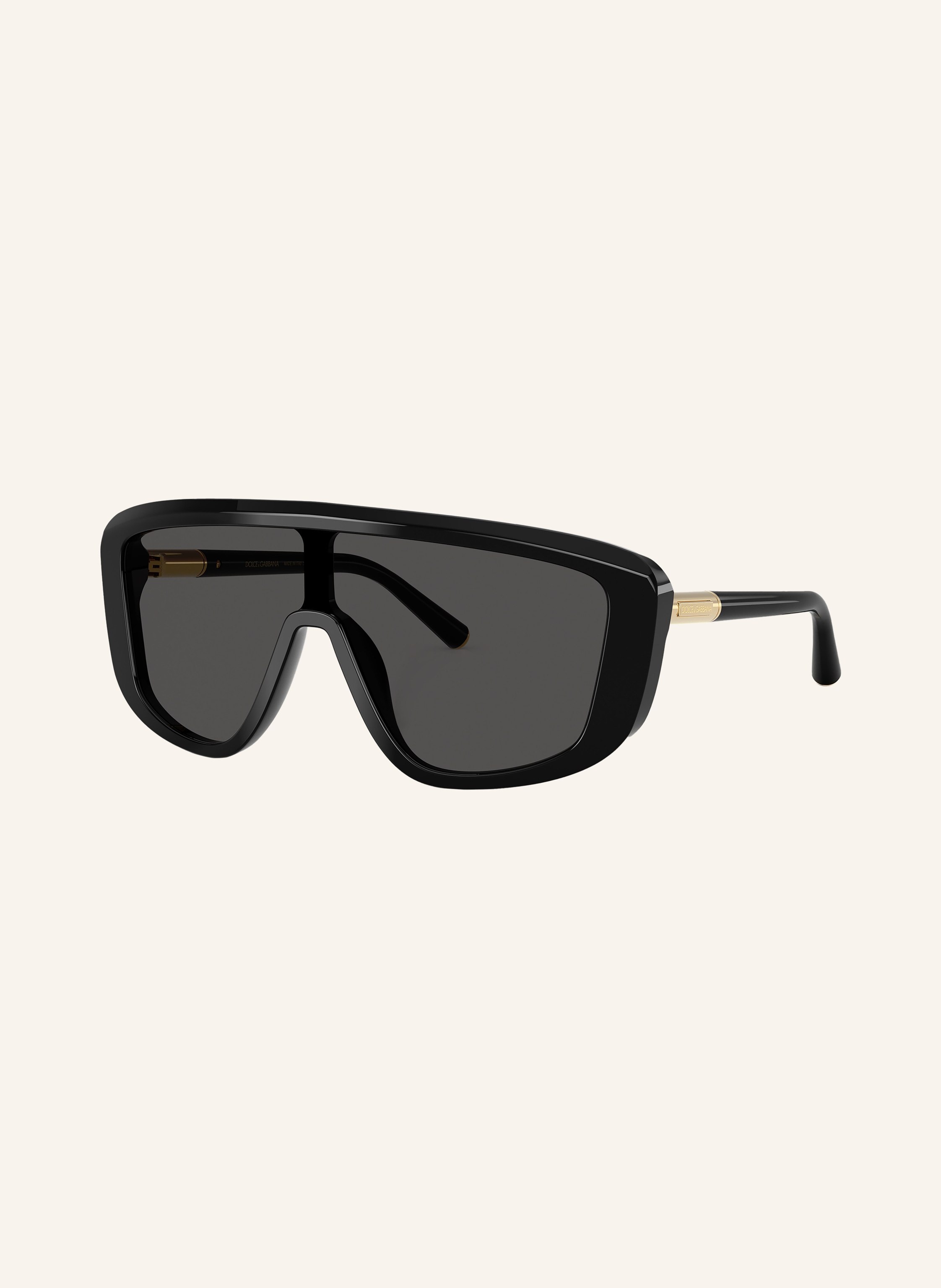 DOLCE & GABBANA Sonnenbrille DG4520