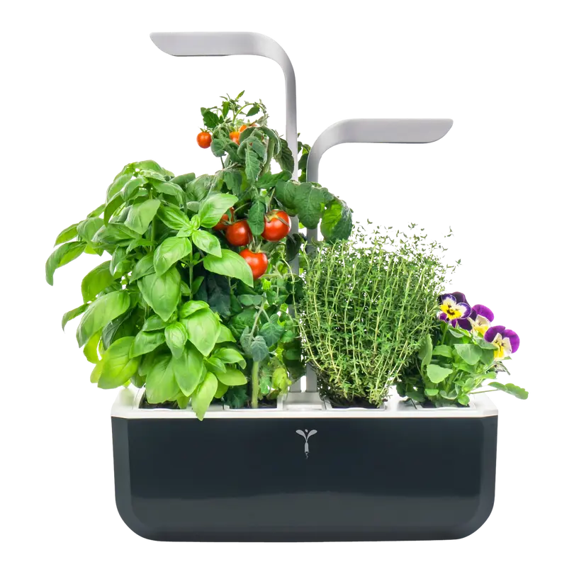 Kräutertopf Smart