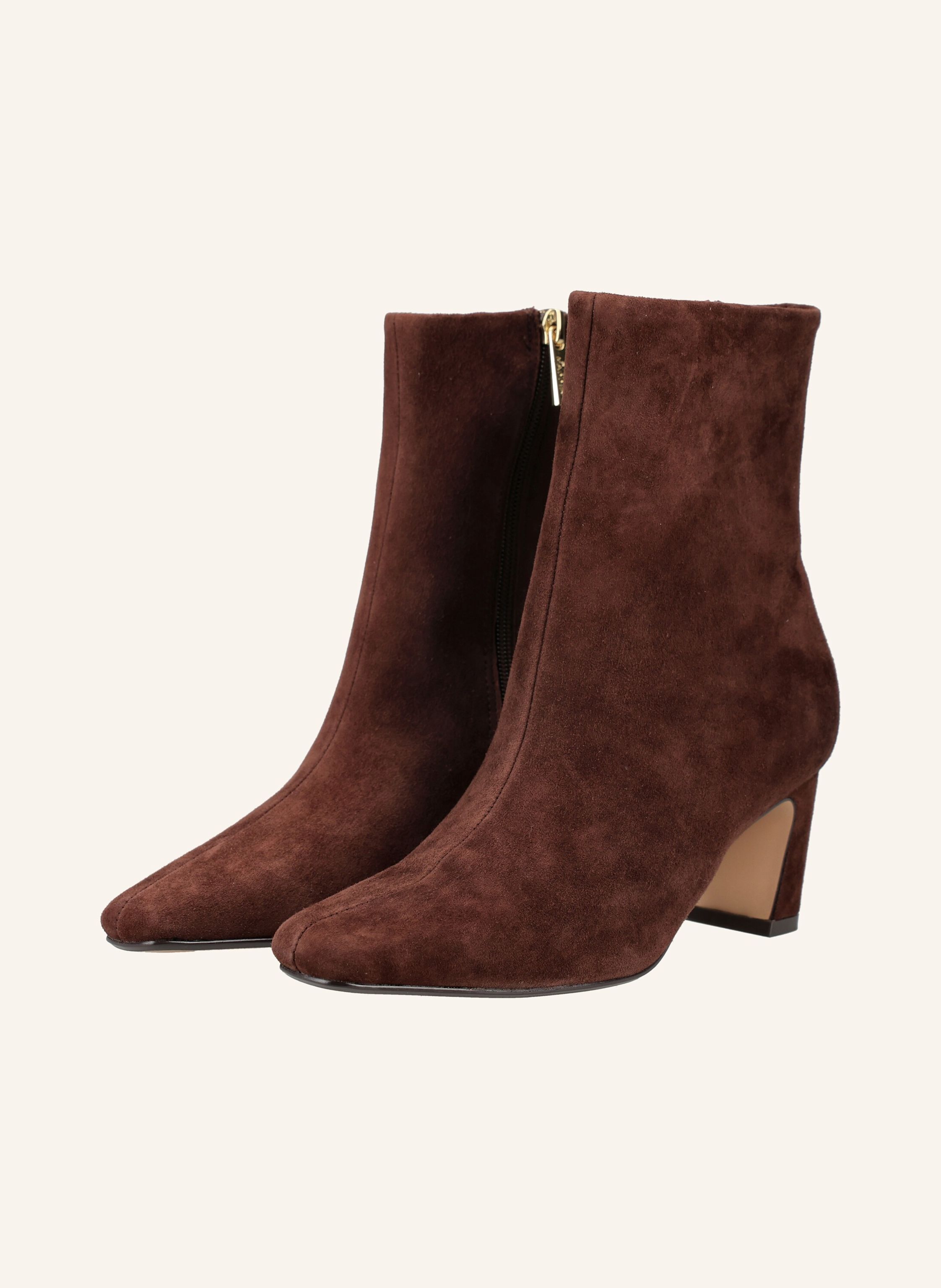 STEVE MADDEN Stiefelette WILLAH