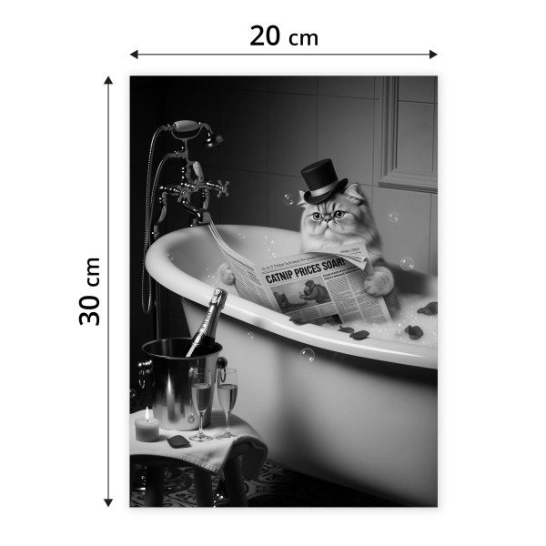 Plakat Kot w wannie 20x30cm