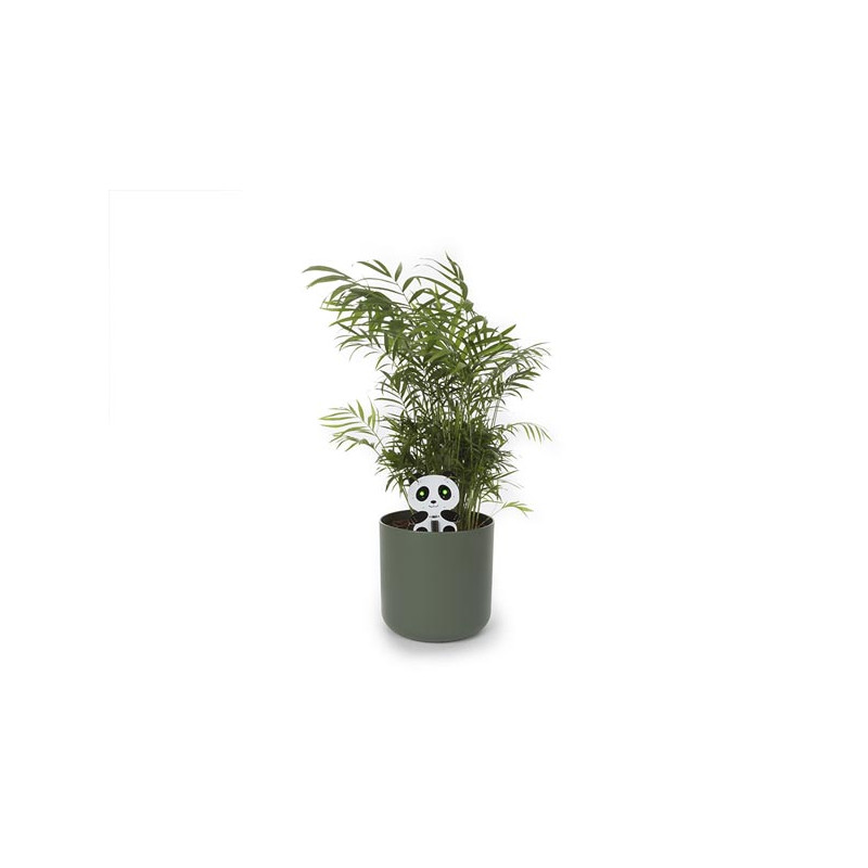 Hygromètre panda pour plante d'intérieur WHADDA
