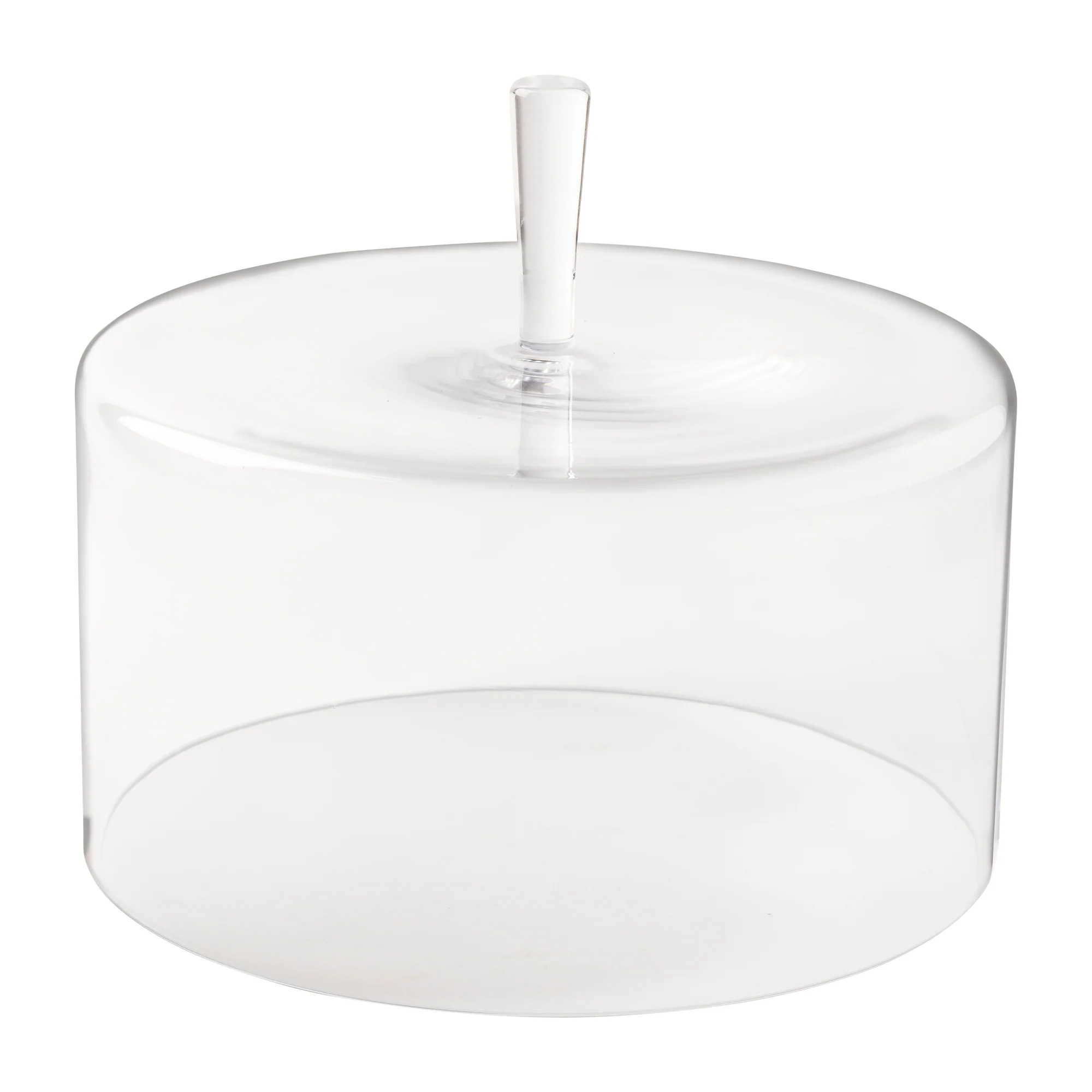 Large Glass Dome Coupole