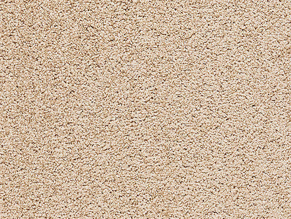 Moquette velours tendance Bliss beige 4m (vendue à la coupe)