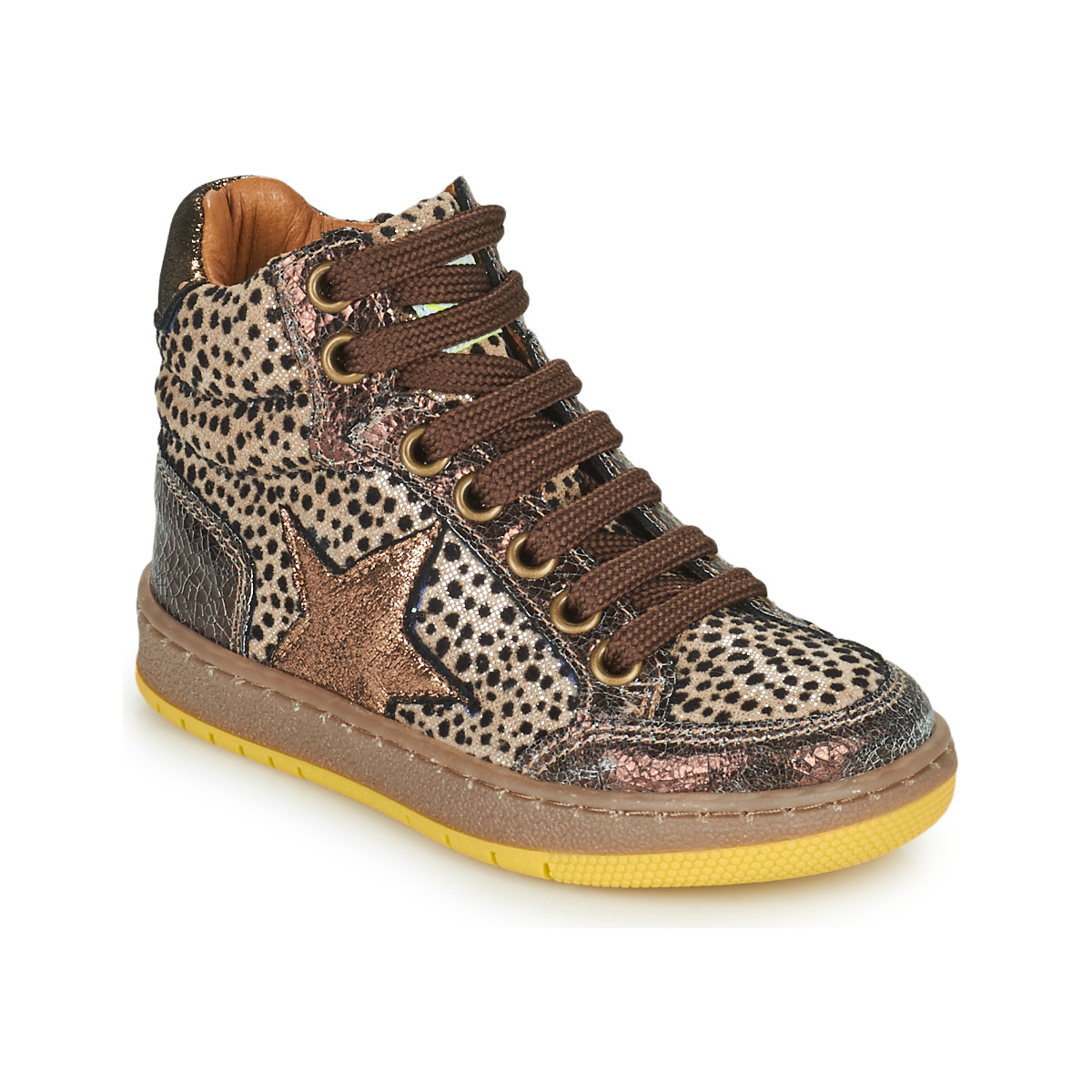 GBB - SEPHY - Brown