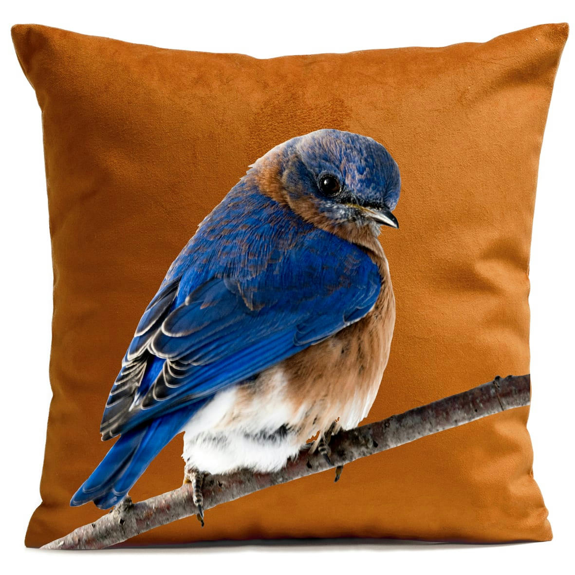- Coussin campagne oiseau suédine orange 40x40cm