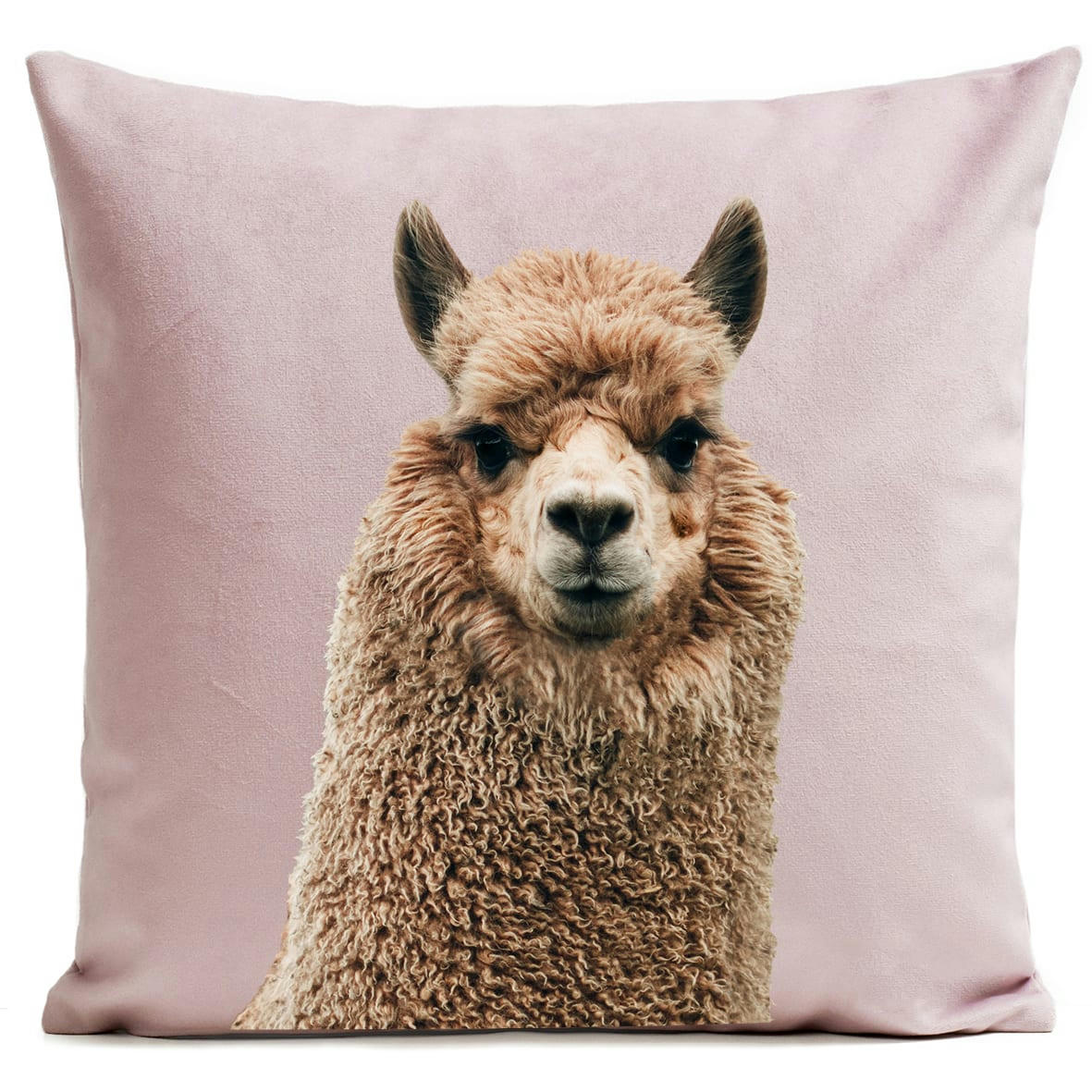 - Coussin animal alpaga suédine rose 40x40cm