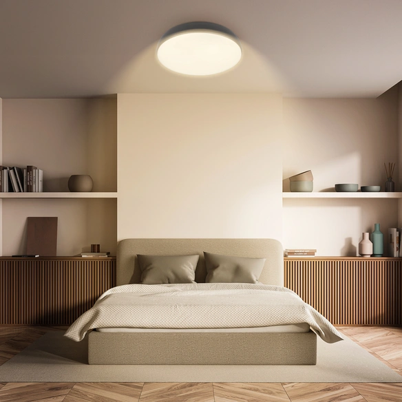 Leuchte, LED Deckenleuchte, 22 W, anthrazit