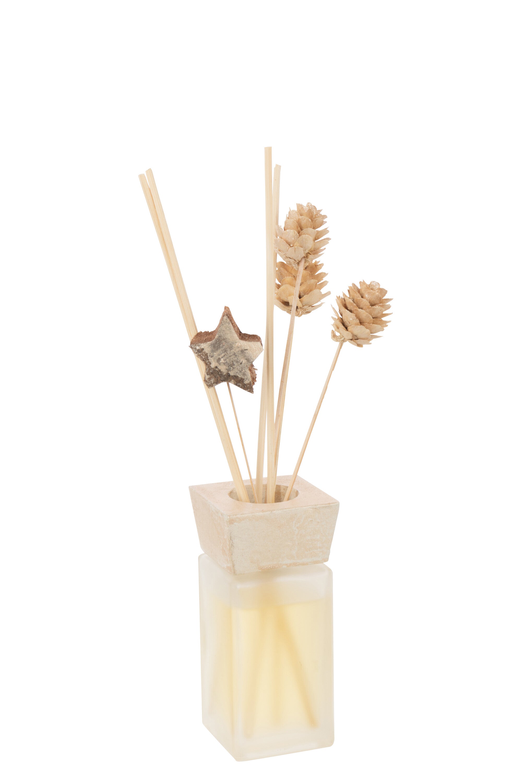 J-Line geurstokjes Kaneel Droogbloemen - Cinnamon - riet - goud