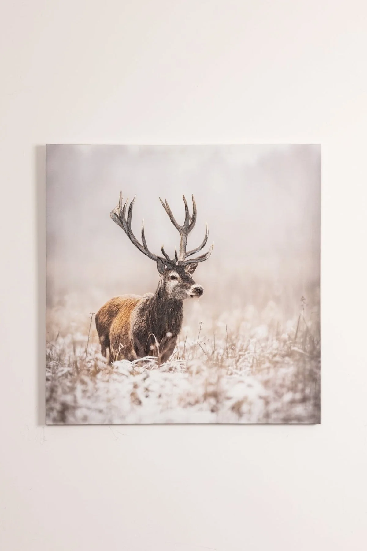 Stag Canvas Wall Art