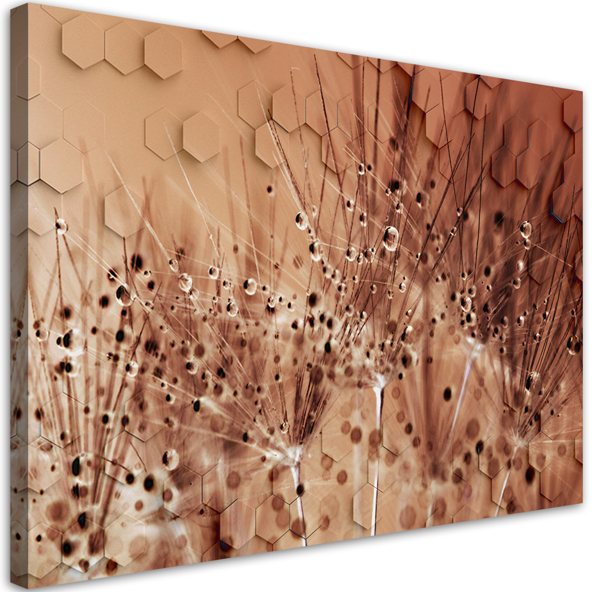 Feeby Obraz na płótnie, Dmuchawce w kroplach rosy 60x40