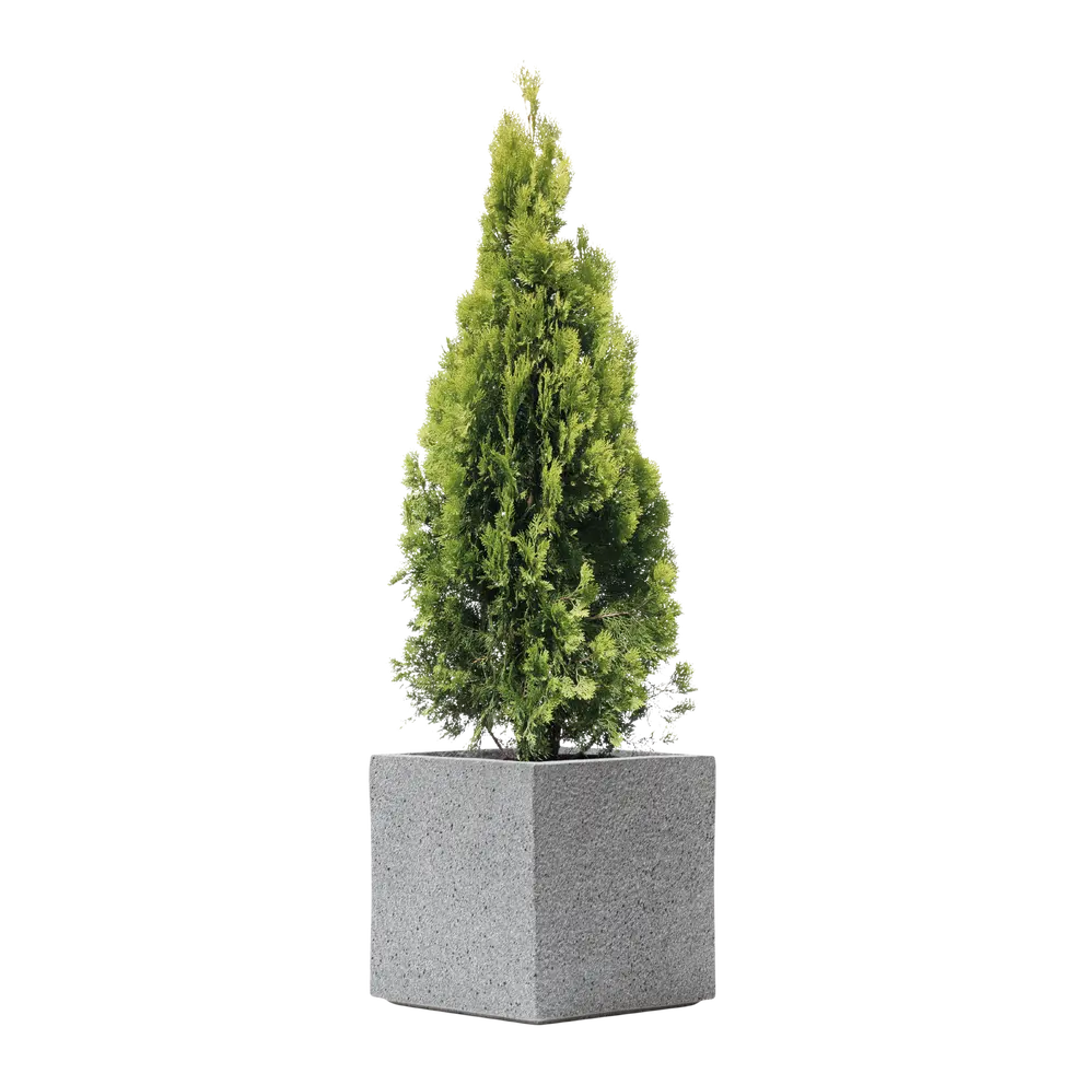 Gartentopf Rockline