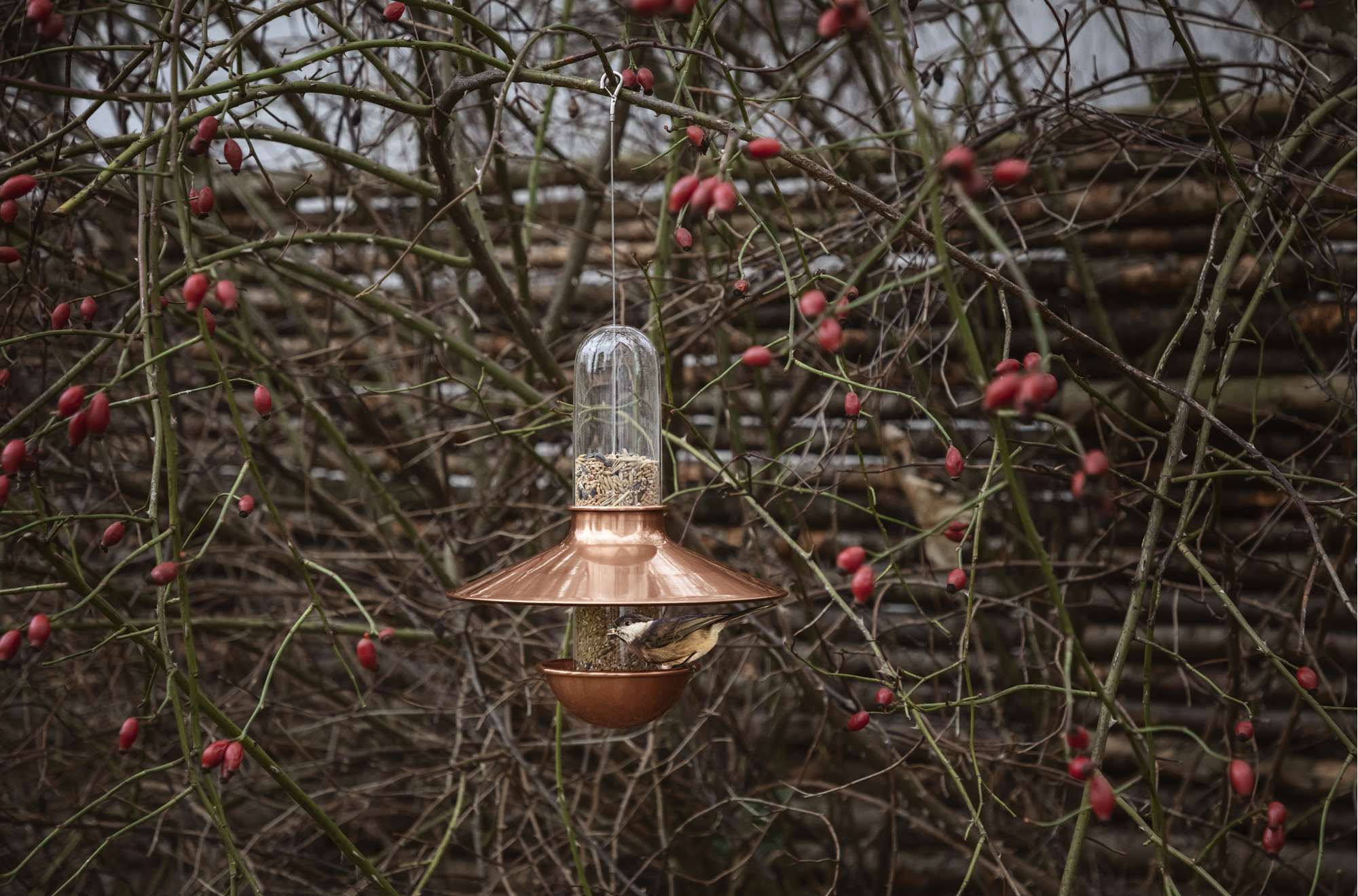 De luxe birdfeeder - copper