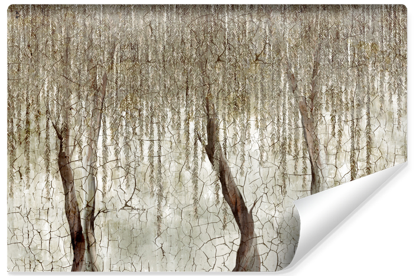 Fototapeta Abstrakcyjna Wierzba Na Betonie 90x60cm