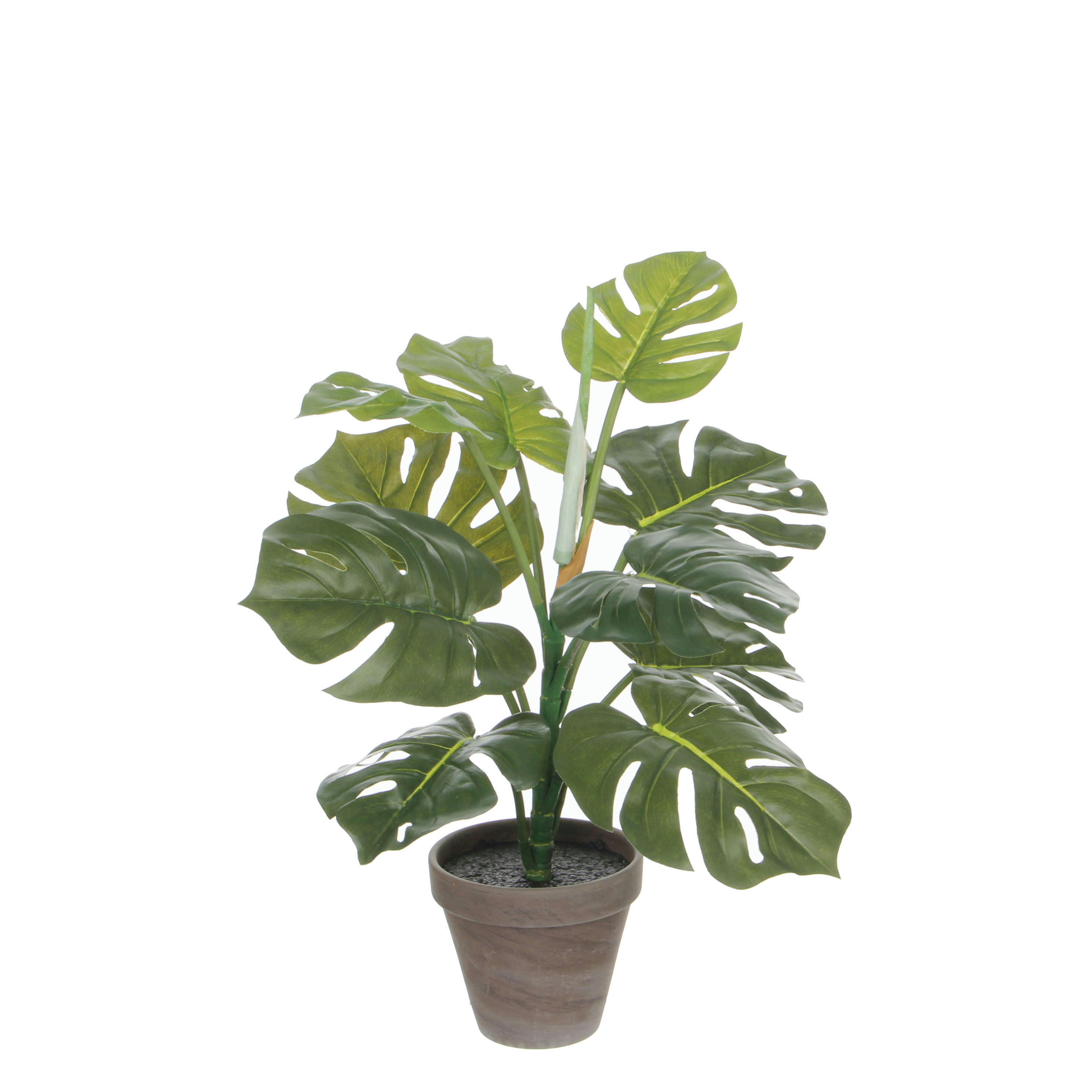 - Monstera artificielle verte en pot H48