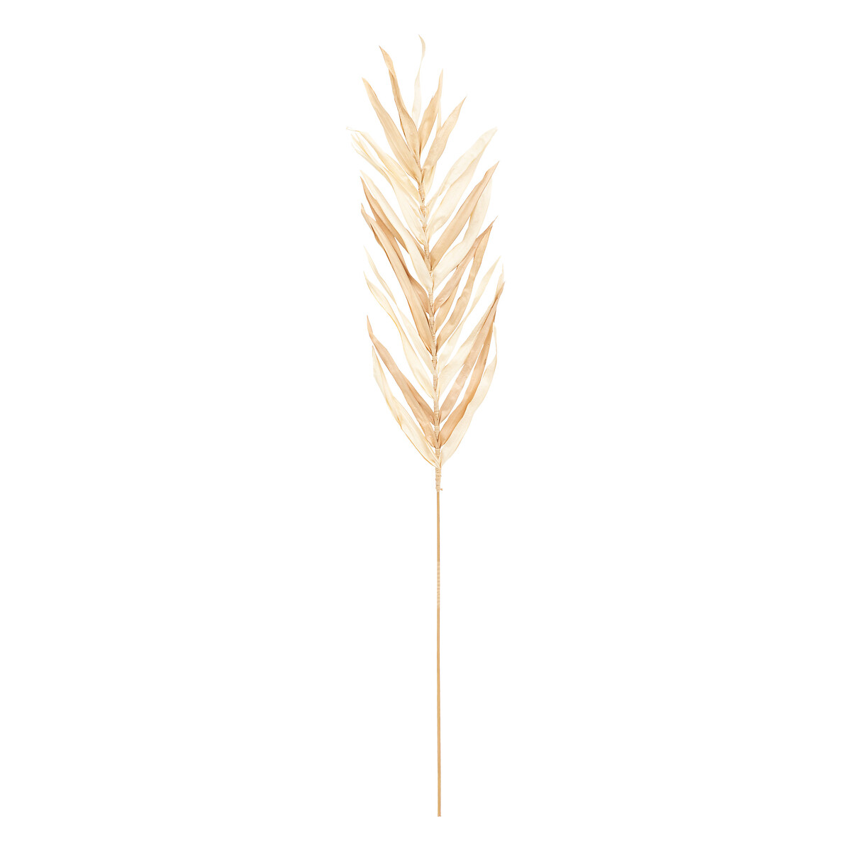 Pack of 3 "Ova" palm stems Green, H.85 cm