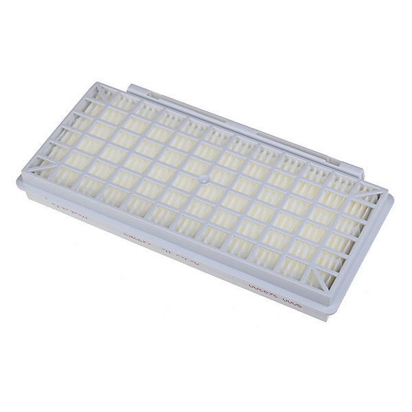 Filtre hepa 20,2 x 10,5 x 2,5 cm pour aspirateur BOSCH 00579496