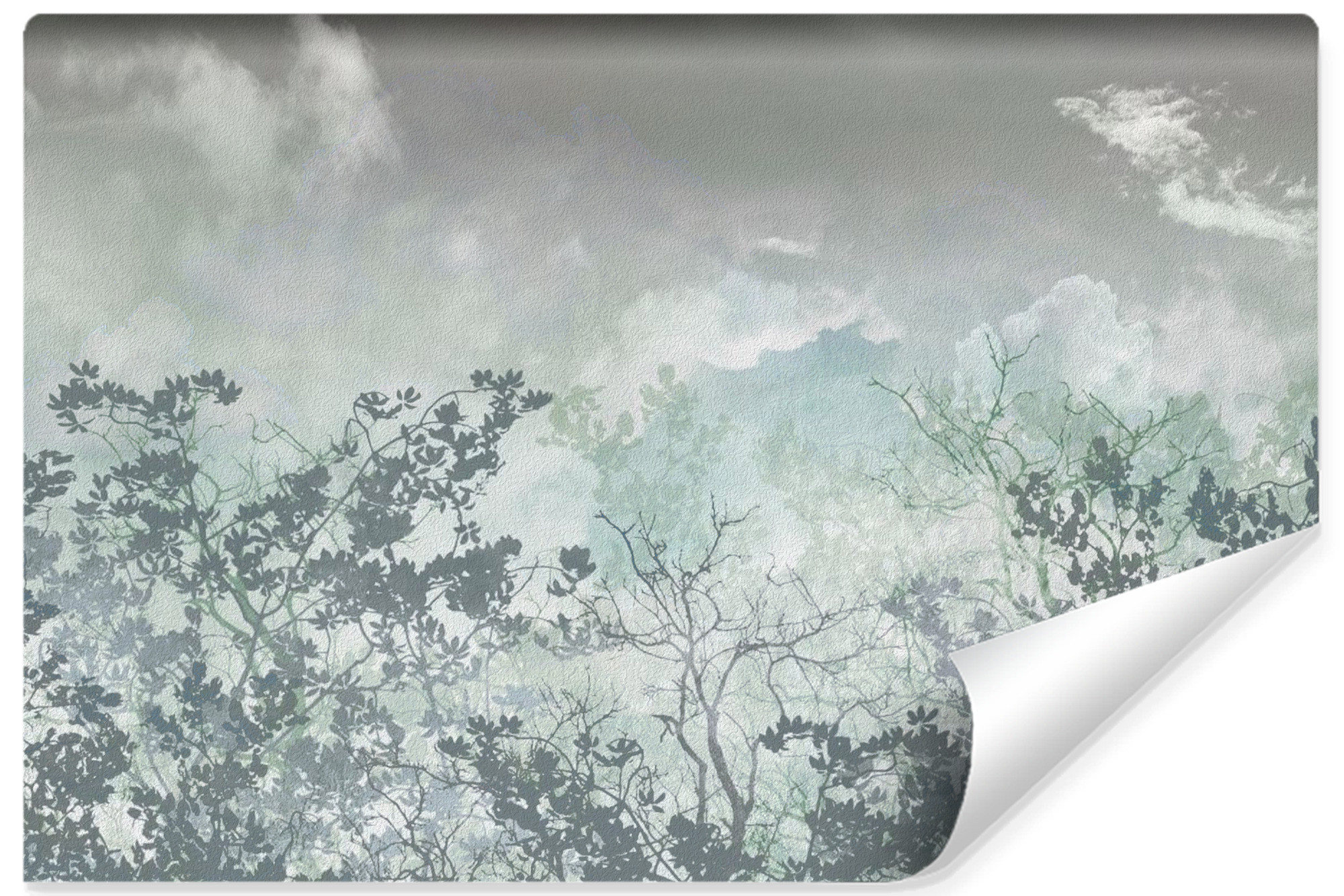 Fototapeta Abstrakcyjne Drzewa Niebo 90x60cm