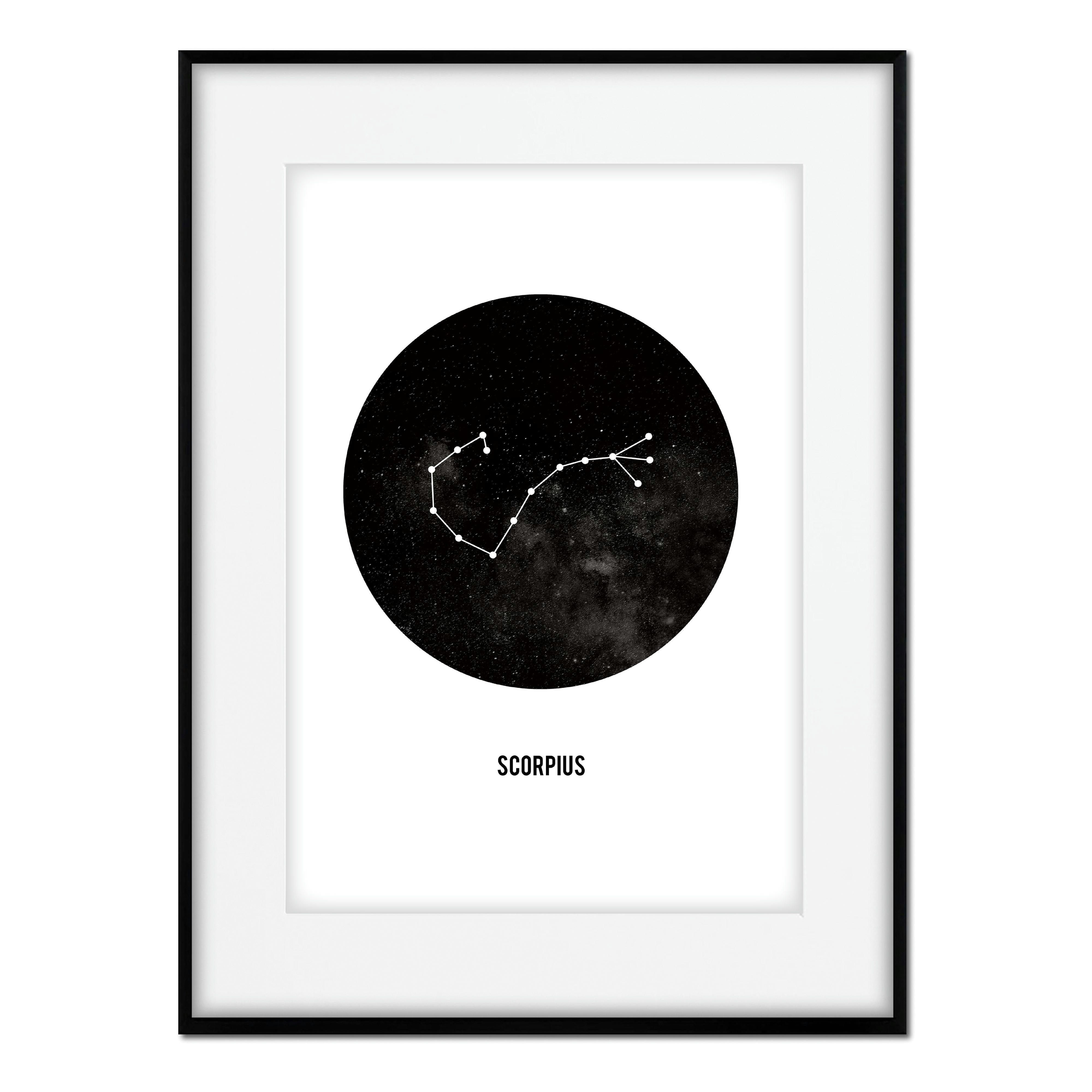 TEXTO - Affiche avec cadre noir - Scorpion - 30x40