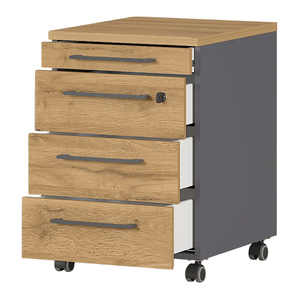 Rollcontainer Agenda