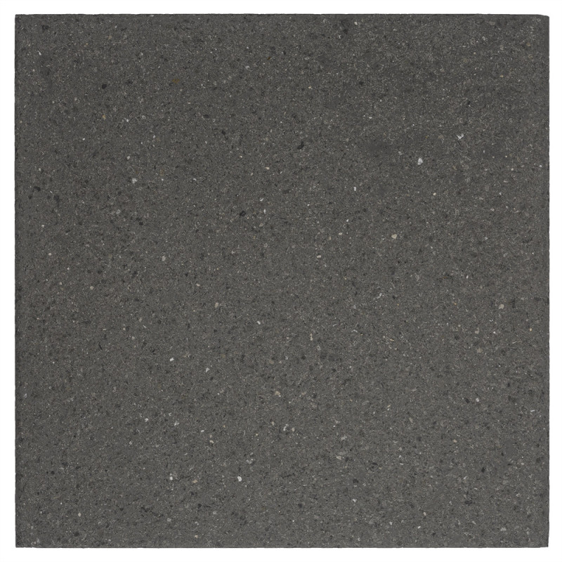 Dalle de terrasse anthracite 60 x 60 x 3,9 cm COBO GARDEN