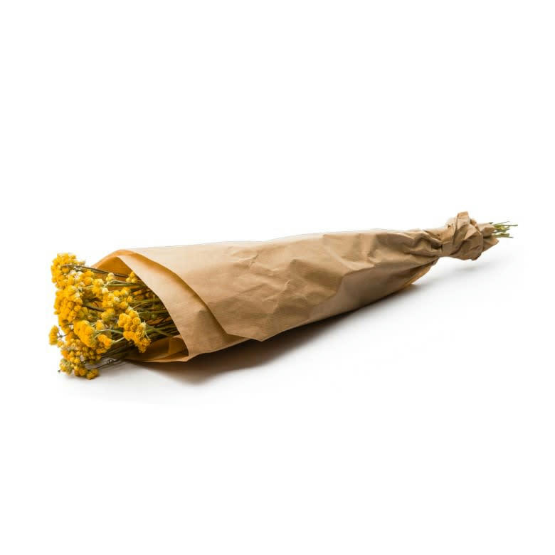 BFS - Botte Lona Natural Yellow