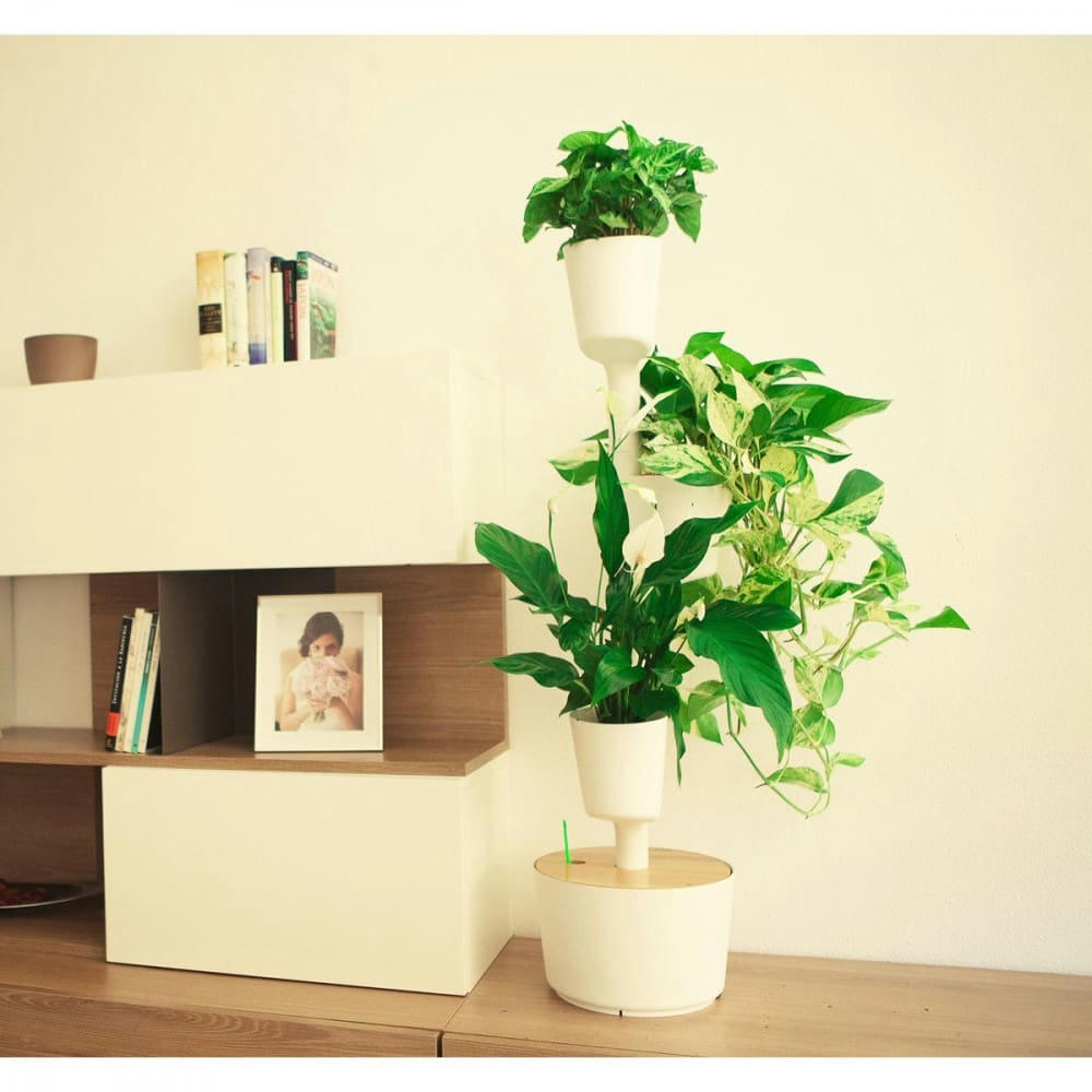 - Jardin d'intérieur 3 bacs blanc avec arrosage automatique wifi