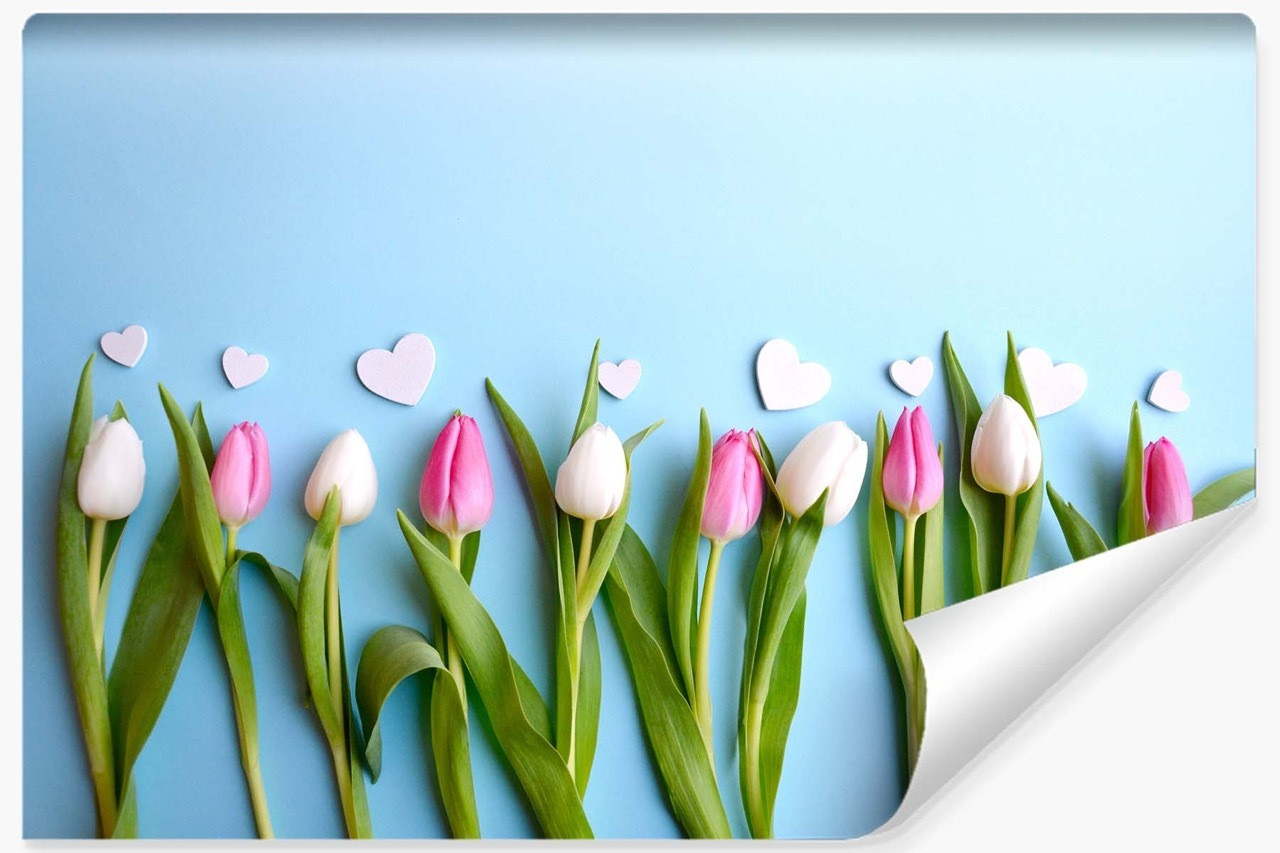 Fototapeta Dekoracyjna TULIPANY Serca 3D 90x60cm