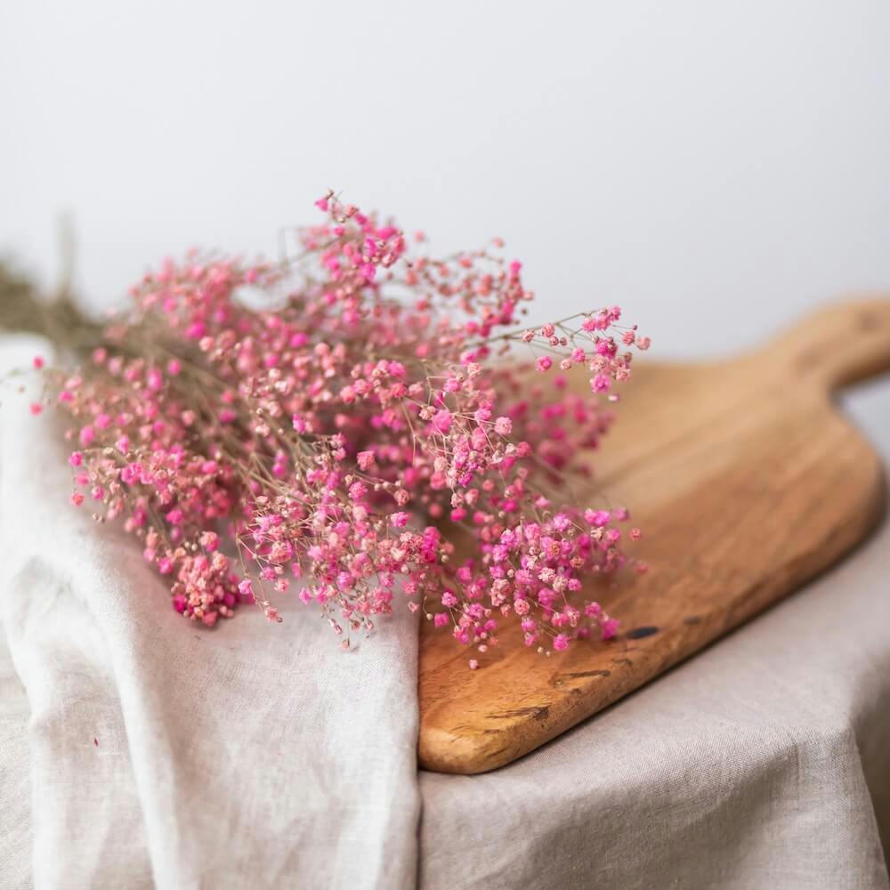 - Gypsophile rose