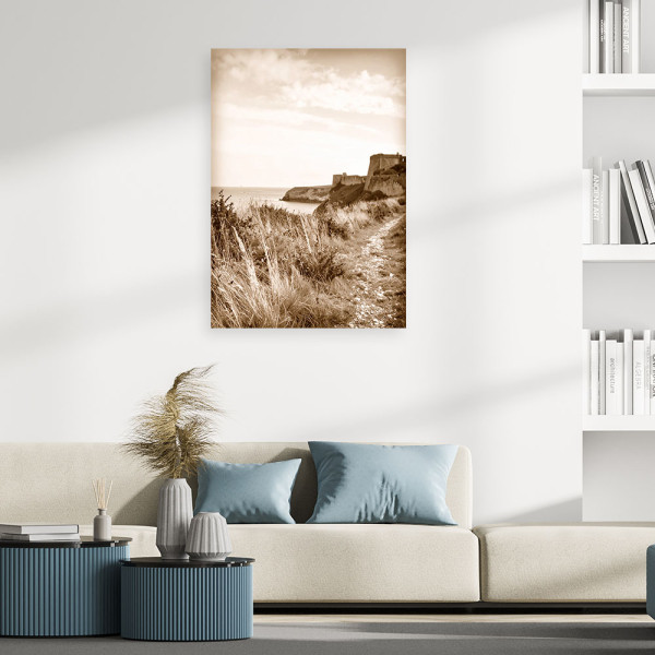 Obraz do salonu sypialni biura, Krajobraz morski sepia klif skały 20x30