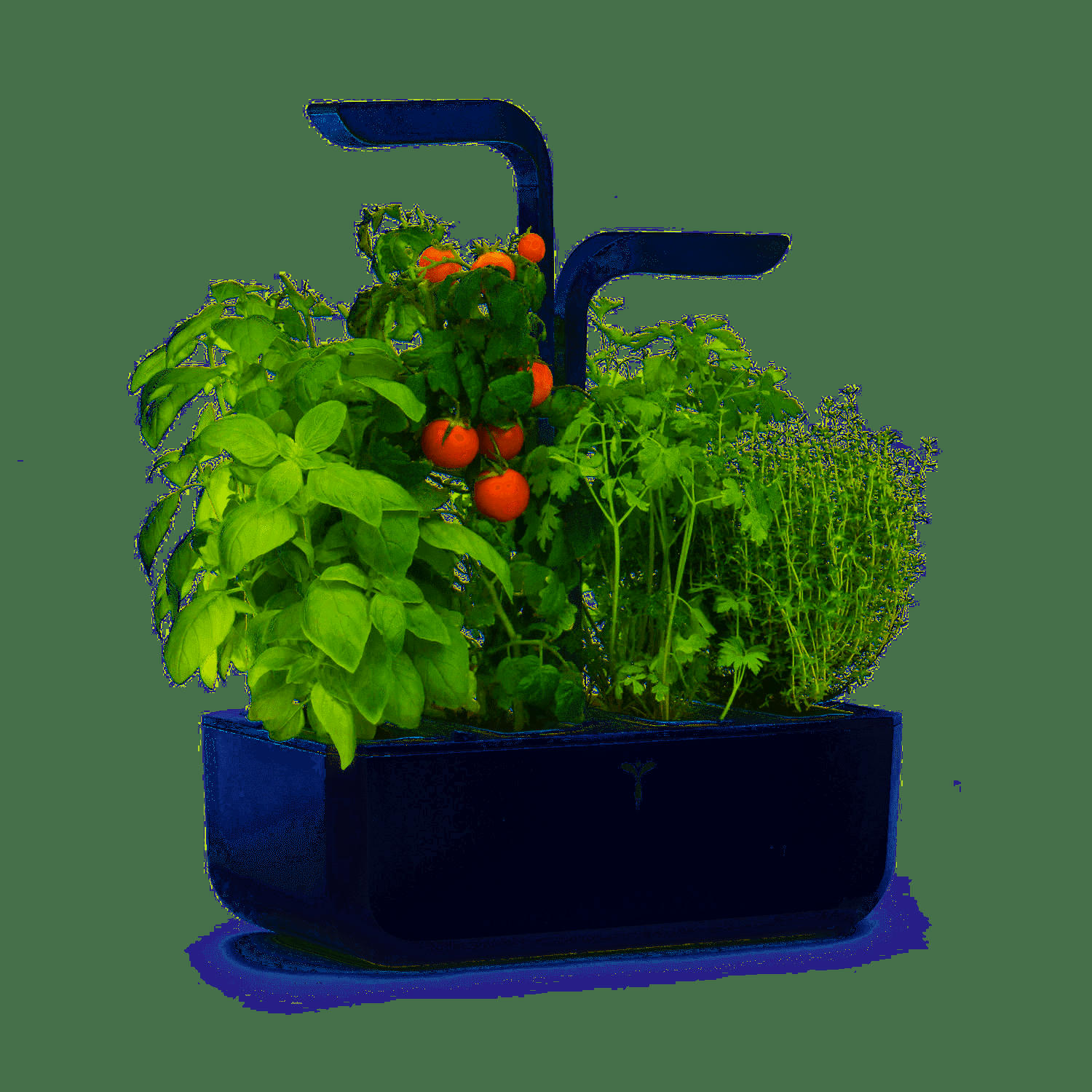 SMART - Potager d'intérieur Véritable® smart arctic white