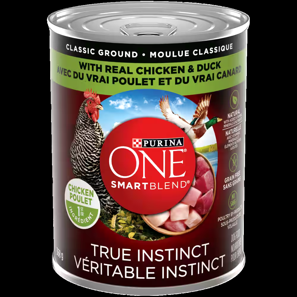 Purina ONE® Chicken & Duck Adult Wet Dog Food, 368-g