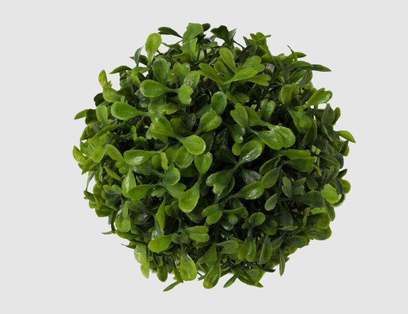 Buchsbaumball