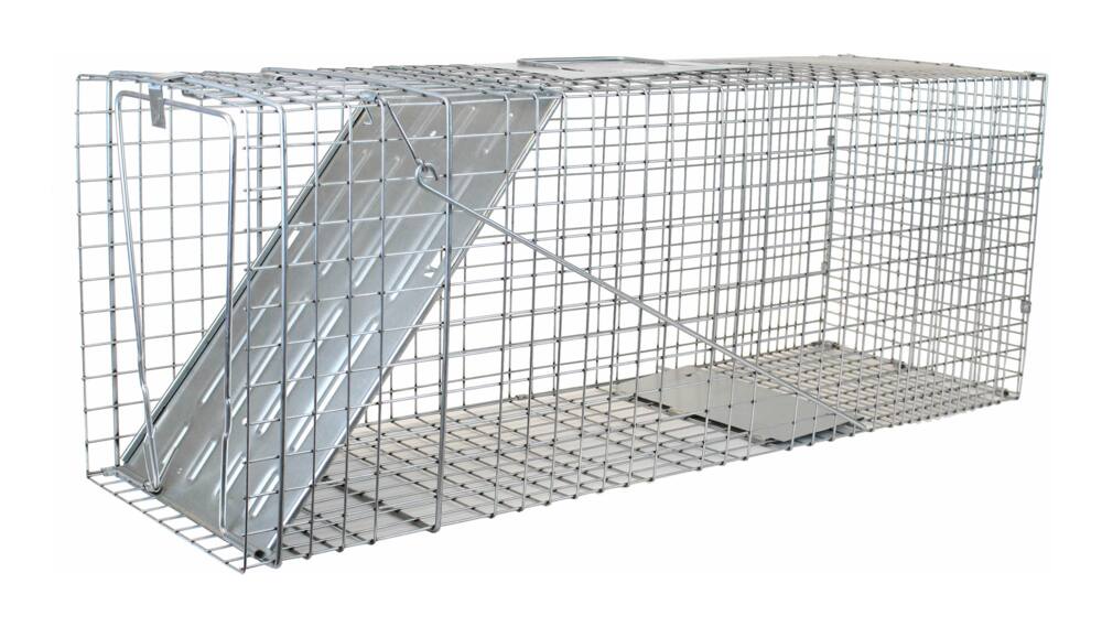 Havahart Raccoon Live Trap