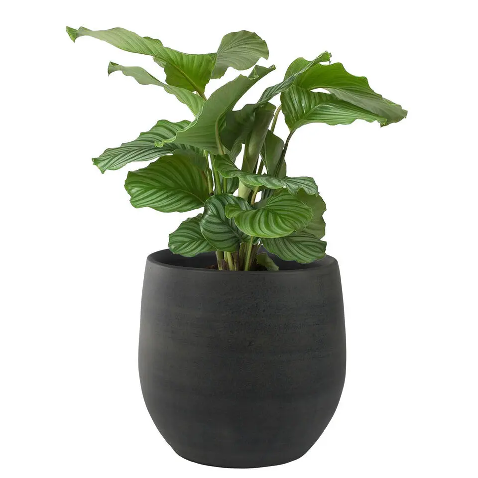 Ter Steege Plantenpot - moderne look - zwart - 36 x 32 cm