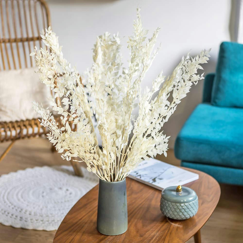 - Botte de fleurs séchées Ruscus blanc environ 10 tiges