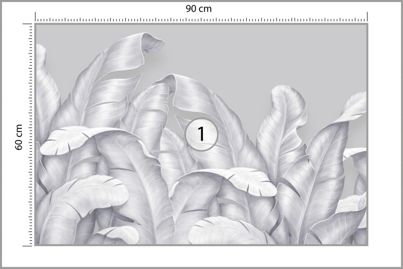 Fototapeta Ścienna Szare Liście Bananowe 90x60cm