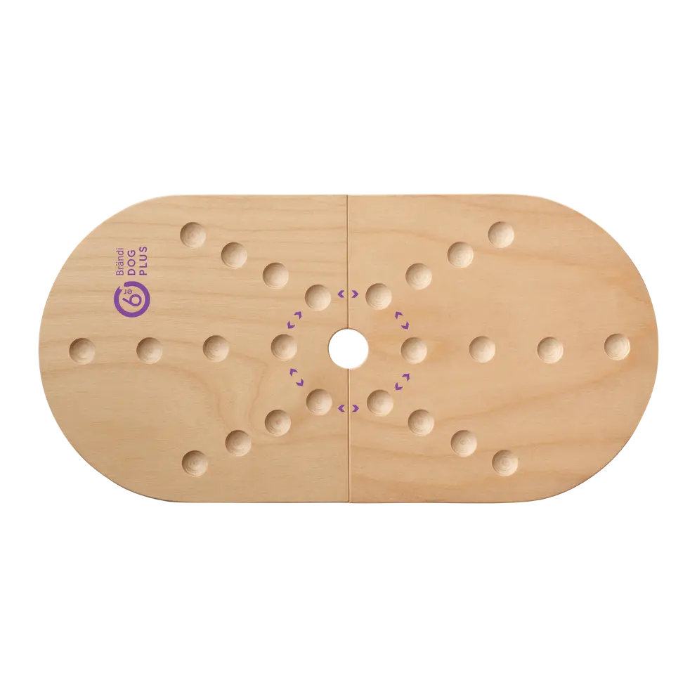 Spiel Dog 6